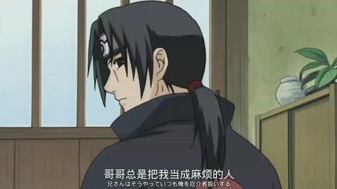 鼬视频,揭秘神秘鼬类动物的生态奥秘